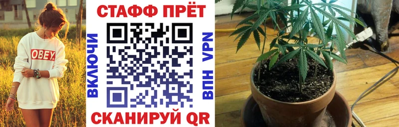Наркота Николаевск-на-Амуре ГАШ  A PVP  Мефедрон  АМФ  Кокаин 