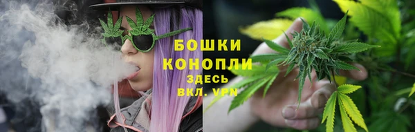 трава Нея