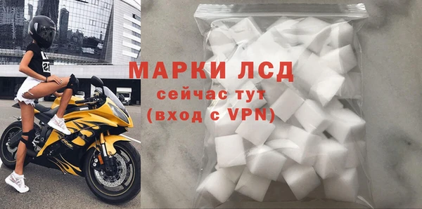 прущие грибы Новокубанск
