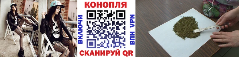 Канабис план  Николаевск-на-Амуре 
